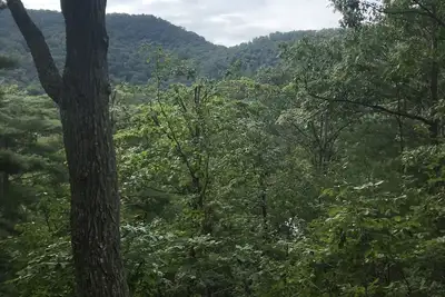 Image de Mtn. Escapade - Fermer le Blue Ridge Pkwy (1)
