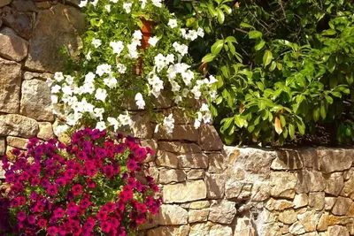 Image de Villa Juli Guesthouse
