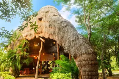 Image de Kumbuk River Elephant Villa