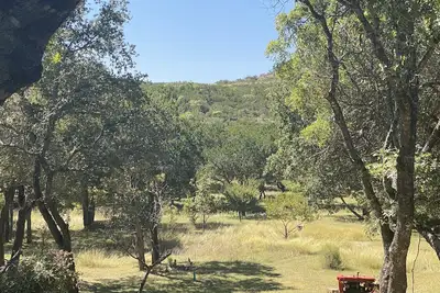 Image de Hill Country Haven (mieux que n'importe quel hôtel! )