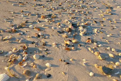 Image de Rêves de plage! Rénové oct 2019, 2 Br / 2 Ba dort (6) Non-fumeur, pas d'animaux