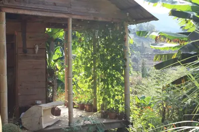 Image de Honey Dreams - Maison de fée parmi les collines verdoyantes
