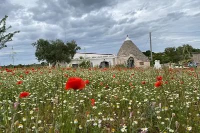 Image de Trullo le Zippo Ă Zippitello