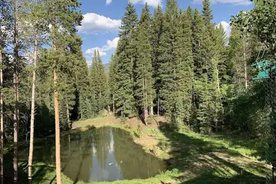 Image de Daily Wildlife - Bear, Moose, Deer - 3br/3ba - Ski In / Ski Out - Early Checkin