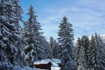 Image de 200m des commerces, 3ème étage, vue forêt, balcon, télévision, casier à ski, 31m², Valmorel