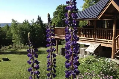 Image de Custom Built Luxury Log Home, Best on property Trout Fishing!