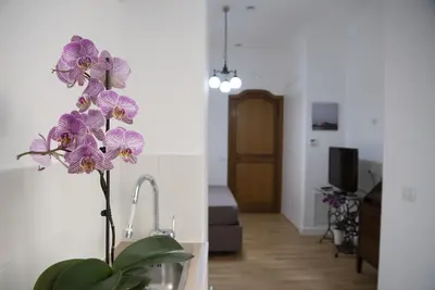 Image de Appartement Vesuvio Blu dans le centre de Naples