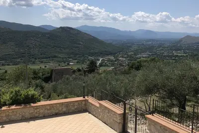 Image de Une oasis de paix parmi les oliviers séculaires