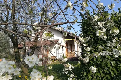Hébergement dans un charmant chalet à Giaveno