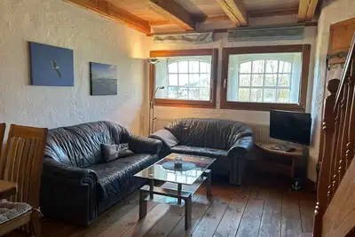 Image de Mouette - givre au bord de la mer