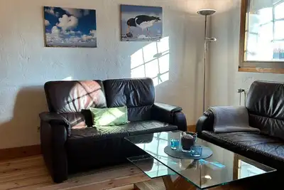 Image de Huîtrier pie - givre sur la mer