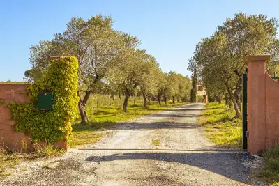 Image de Mas au cœur des vignes