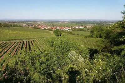 Image de Appartement Lingenfelder