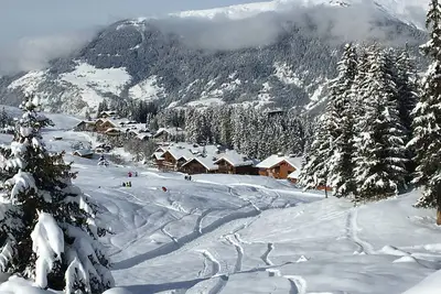 Image de Courchevel ski aux pieds plein sud en pleine nature à coté du téléski Granges