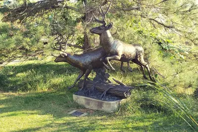 Image de Suite privée et familiale à côté des jardins de sculptures de Benson