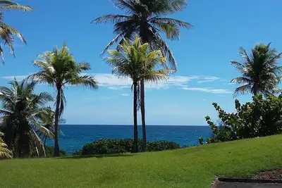 Appartement T3 dans un cadre luxuriant au bord de mer - accès plage et piscine
