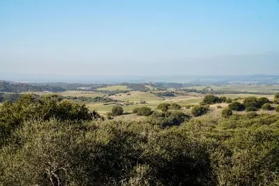 Image de Maison moderne sur deux niveaux avec vue sur le parcours de golf, Arthur’s Seat et au-delà
