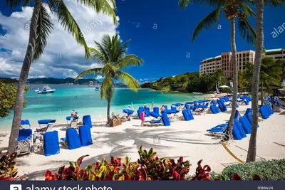 Image de Ritz Carlton Club - St. Thomas Usva - Condo 3 chambres 3 1/2 salles de bain