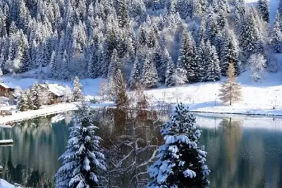 Image de Appt 1 à 350m des pistes (portes du soleil) : chalet avec parking privé à Châtel