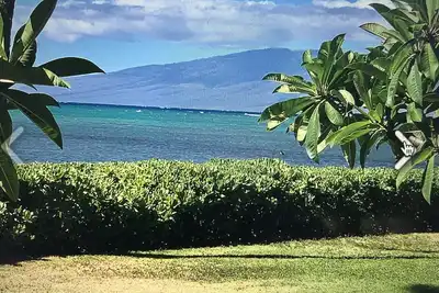 Nouveau Vrbo! Vous Devez Voir Des Prix SPÉCIAUX De RÉSERVATION Condo Wavecrest Ocean Front Exceptionnel