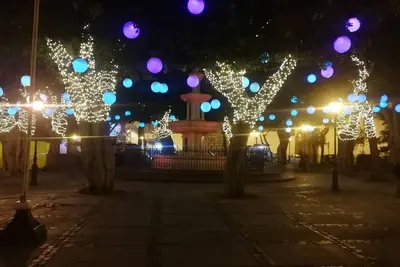 Image de Le point de vue de la rue Viana