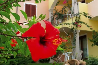 Image de Appartement א Badus avec piscine commune
