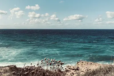 Image de Coin paradis paisible sur la mer