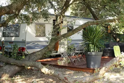 Image de Caravane sous les arbres
