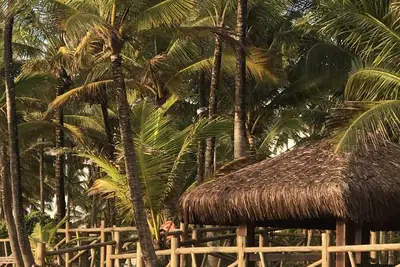 Image de Tranquillité et exubérance à 150 mètres de la plage