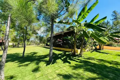 Image de Villa avec A \/ C et piscine à Mountain Pine Ridge