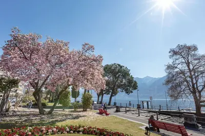 Image de Joli appartement pour 2 personnes avec Wifi, Tv, balcon, animaux admis et parking