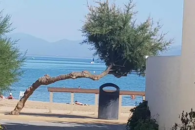 Image de Casa ALARCÓN À 50 MÈTRES De La Plage. L'Escala