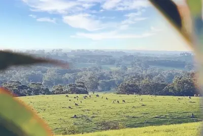 Image de 3br au sommet de 45 acres, vues captivantes et feu de journal