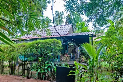 Image de Jolie Studio - Une oasis de jungle paisible à Koh Phangan
