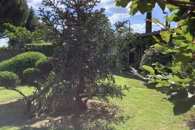 Image de L'Atelier, la nature pour horizon