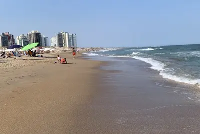 Image de Lindo apartamento a una cuadra de la Playa Brava.