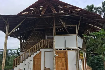 Image de 360 vues de la forĂŞt tropicale de Choco