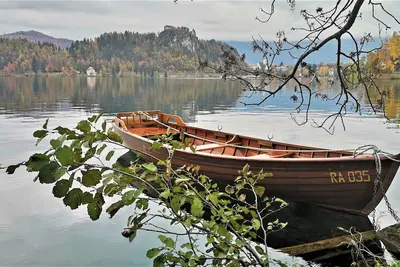 Image de Vila Kljuce Apartments Bled