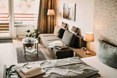 Image de Application économique, Balcon, Kitchenette, Piscine, Sauna, Bain de vapeur, WiFi, Couples, Famille!