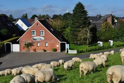 Image de Appartement Baltrum