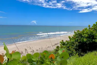 Image de Sea Owl Suite 3, style Oceanfront et Serenity à Melbourne Beach!