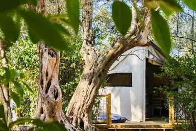 Image de Lodge Cannelle 21m² (2 chambres) 5 personnes