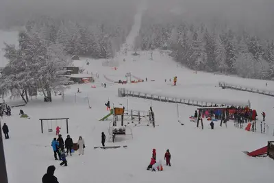 Image de Appartement Grand Confort Accès Skis aux Pieds 3*