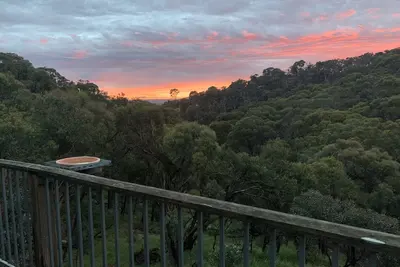 Image de Hidden Valley House, 18 acres de brousse privée