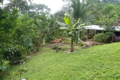 Image de Casa Pura Natura est Ă 50 min de Manuel Antonio