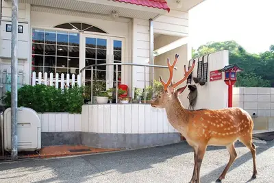 Image de No SmokingTwin Room / Nara Nara