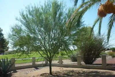 Image de Hiver magique en Arizona