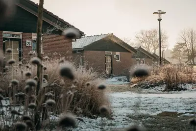 Image de Enjoy a cozy family stay in a 6-person bungalow in the car-free area of Recreatiepark De Boshoek, featuring a spacious garden, modern kitchen, and comfortable bedrooms.