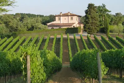 Image de Charming and comfortable apartment  in  organic winery