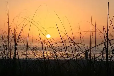 Image de Sea Pirate 7: 2 Br / 1 Ba condo Holmes Beach, pour 6 personnes
